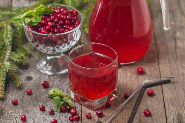 Cranberry sap maken